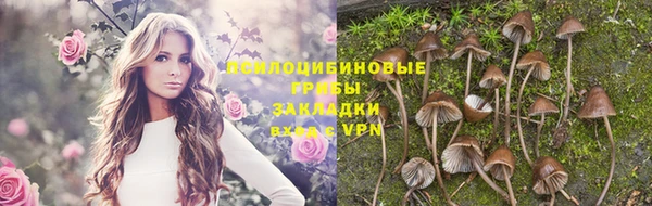 сатива Майский