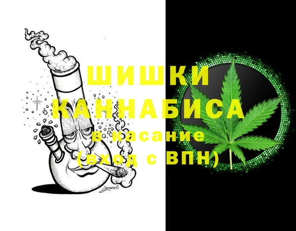 сатива Майский