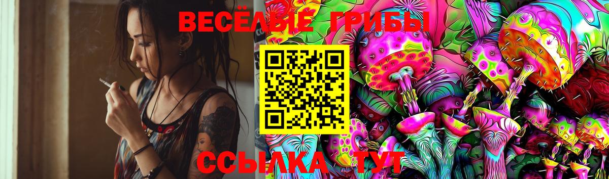 Псилоцибиновые грибы мицелий Советский